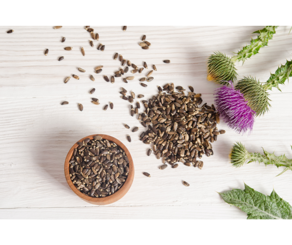 The benefits of supplementing with Milk Thistle